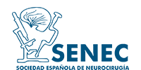 Logo Sociedad Española de Neurocirugía
